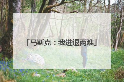 马斯克：我进退两难