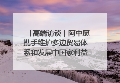 高端访谈｜阿中愿携手维护多边贸易体系和发展中国家利益——访阿拉伯议会议长亚马希