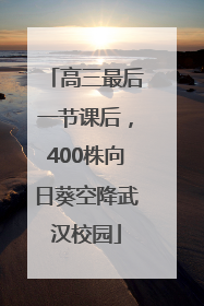 高三最后一节课后，400株向日葵空降武汉校园