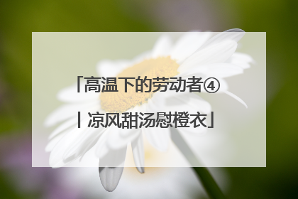 高温下的劳动者④丨凉风甜汤慰橙衣