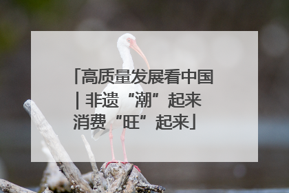 高质量发展看中国｜非遗“潮”起来 消费“旺”起来