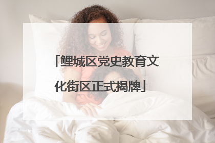 鲤城区党史教育文化街区正式揭牌