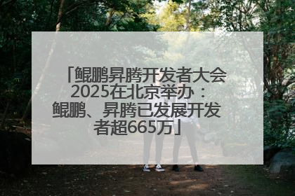 鲲鹏昇腾开发者大会2025在北京举办：鲲鹏、昇腾已发展开发者超665万