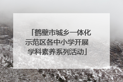 鹤壁市城乡一体化示范区各中小学开展学科素养系列活动