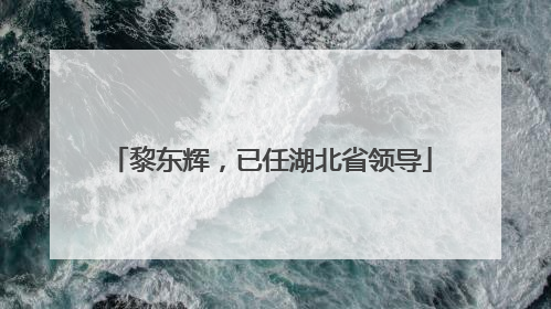 黎东辉，已任湖北省领导