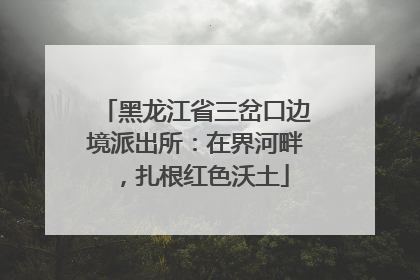 黑龙江省三岔口边境派出所：在界河畔，扎根红色沃土