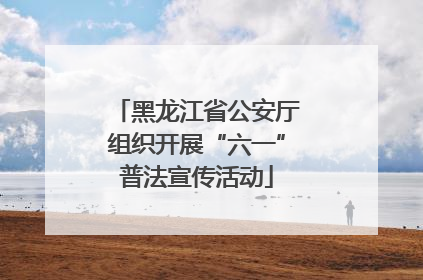 黑龙江省公安厅组织开展“六一”普法宣传活动