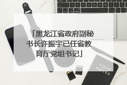 黑龙江省政府副秘书长许振宇已任省教育厅党组书记