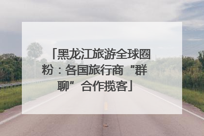 黑龙江旅游全球圈粉：各国旅行商“群聊”合作揽客