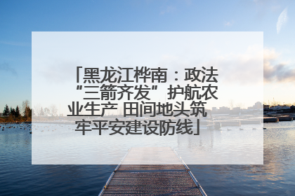 黑龙江桦南：政法“三箭齐发”护航农业生产 田间地头筑牢平安建设防线