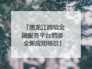 黑龙江跨境金融服务平台增添全新应用场景