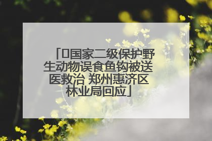 ﻿国家二级保护野生动物误食鱼钩被送医救治 郑州惠济区林业局回应