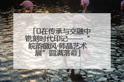 ﻿在传承与交融中镌刻时代印记——“皖韵徽风·师晶艺术展”圆满落幕