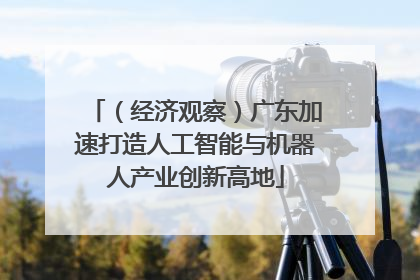 （经济观察）广东加速打造人工智能与机器人产业创新高地