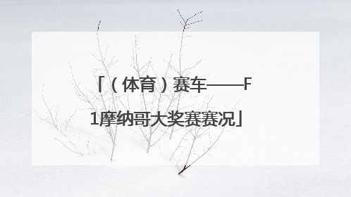 （体育）赛车——F1摩纳哥大奖赛赛况