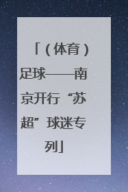 （体育）足球——南京开行“苏超”球迷专列
