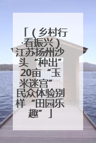 （乡村行·看振兴）江苏扬州沙头“种出”20亩“玉米迷宫” 民众体验别样“田园乐趣”