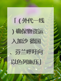 （外代一线）确保物资运入加沙 德国、芬兰呼吁向以色列施压