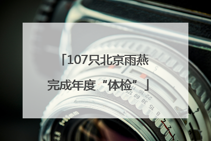 107只北京雨燕完成年度“体检”