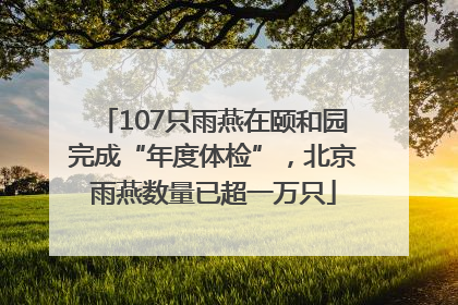 107只雨燕在颐和园完成“年度体检”，北京雨燕数量已超一万只