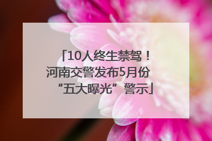 10人终生禁驾！河南交警发布5月份“五大曝光”警示
