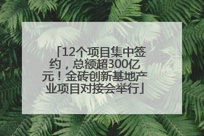 12个项目集中签约，总额超300亿元！金砖创新基地产业项目对接会举行