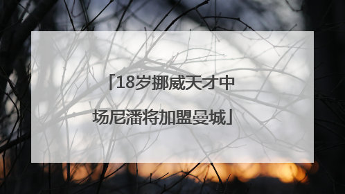 18岁挪威天才中场尼潘将加盟曼城