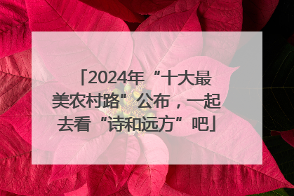 2024年“十大最美农村路”公布，一起去看“诗和远方”吧