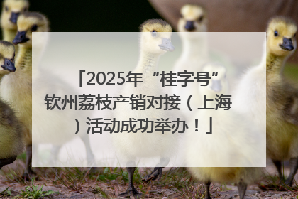 2025年“桂字号”钦州荔枝产销对接（上海）活动成功举办！