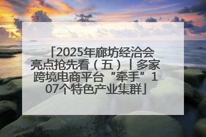 2025年廊坊经洽会亮点抢先看（五）丨多家跨境电商平台“牵手”107个特色产业集群