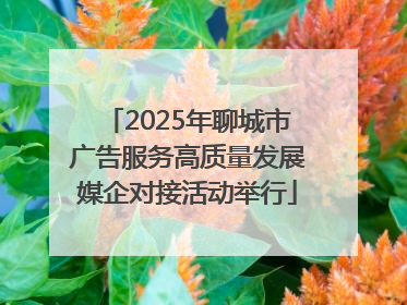 2025年聊城市广告服务高质量发展媒企对接活动举行