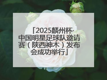 2025麟州杯·中国明星足球队邀请赛（陕西神木）发布会成功举行