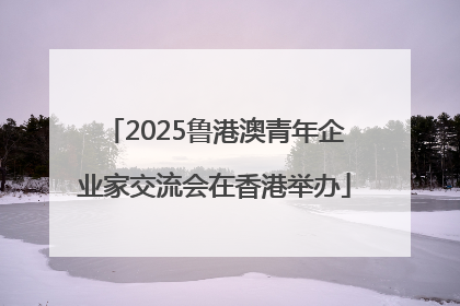 2025鲁港澳青年企业家交流会在香港举办