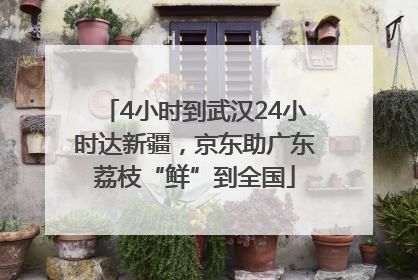 4小时到武汉24小时达新疆，京东助广东荔枝“鲜”到全国
