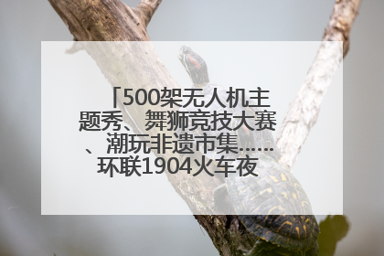 500架无人机主题秀、舞狮竞技大赛、潮玩非遗市集……环联1904火车夜市迎来两周年庆典