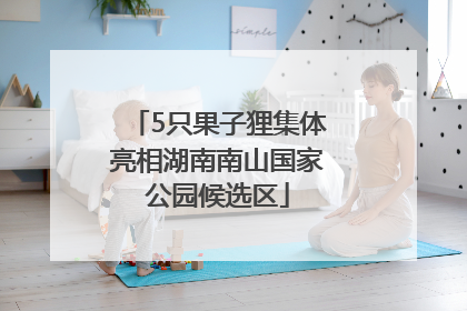5只果子狸集体亮相湖南南山国家公园候选区