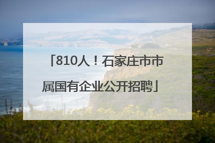 810人！石家庄市市属国有企业公开招聘