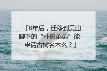 8年后，迁移到吴山脚下的“朴树弟弟”能申请古树名木么？