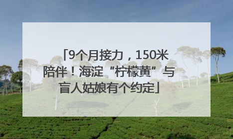 9个月接力，150米陪伴！海淀“柠檬黄”与盲人姑娘有个约定