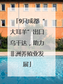 9只成都“大耳羊”出口乌干达，助力非洲养殖业发展