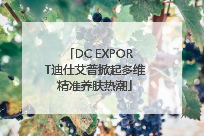 DC EXPORT迪仕艾普掀起多维精准养肤热潮
