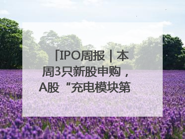 IPO周报｜本周3只新股申购，A股“充电模块第一股”来了