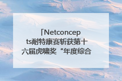 Netconcepts耐特康赛斩获第十六届虎啸奖“年度综合服务商”大奖