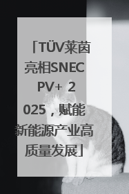 TÜV莱茵亮相SNEC PV+ 2025，赋能新能源产业高质量发展