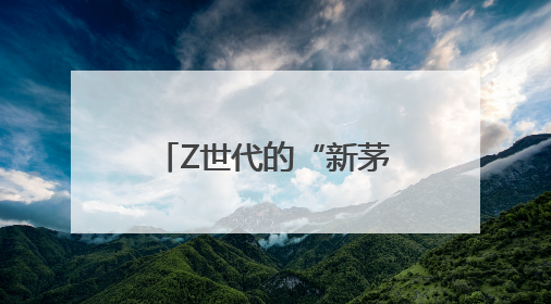 Z世代的“新茅台” 基金重金押注的新消费狂飙